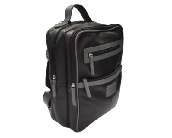 Laptop Backpack (S- 298)